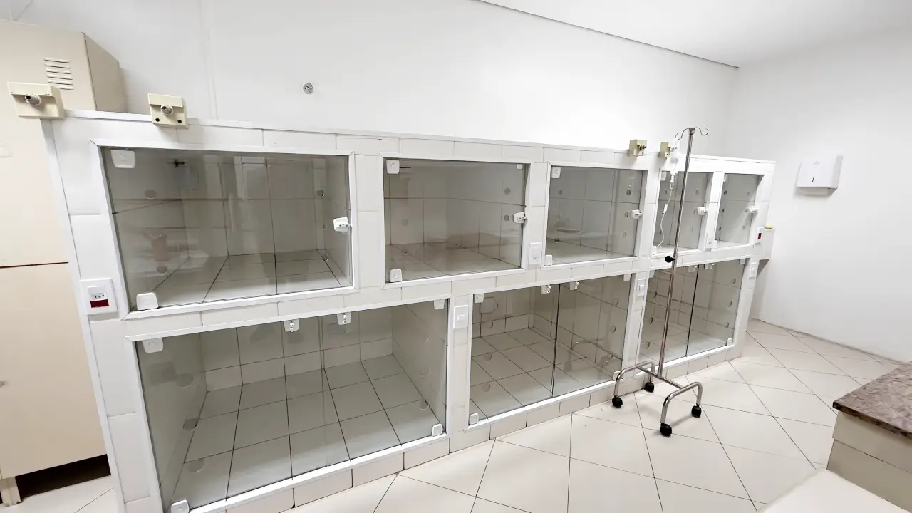 Consultório Veterinário Unidade Santana